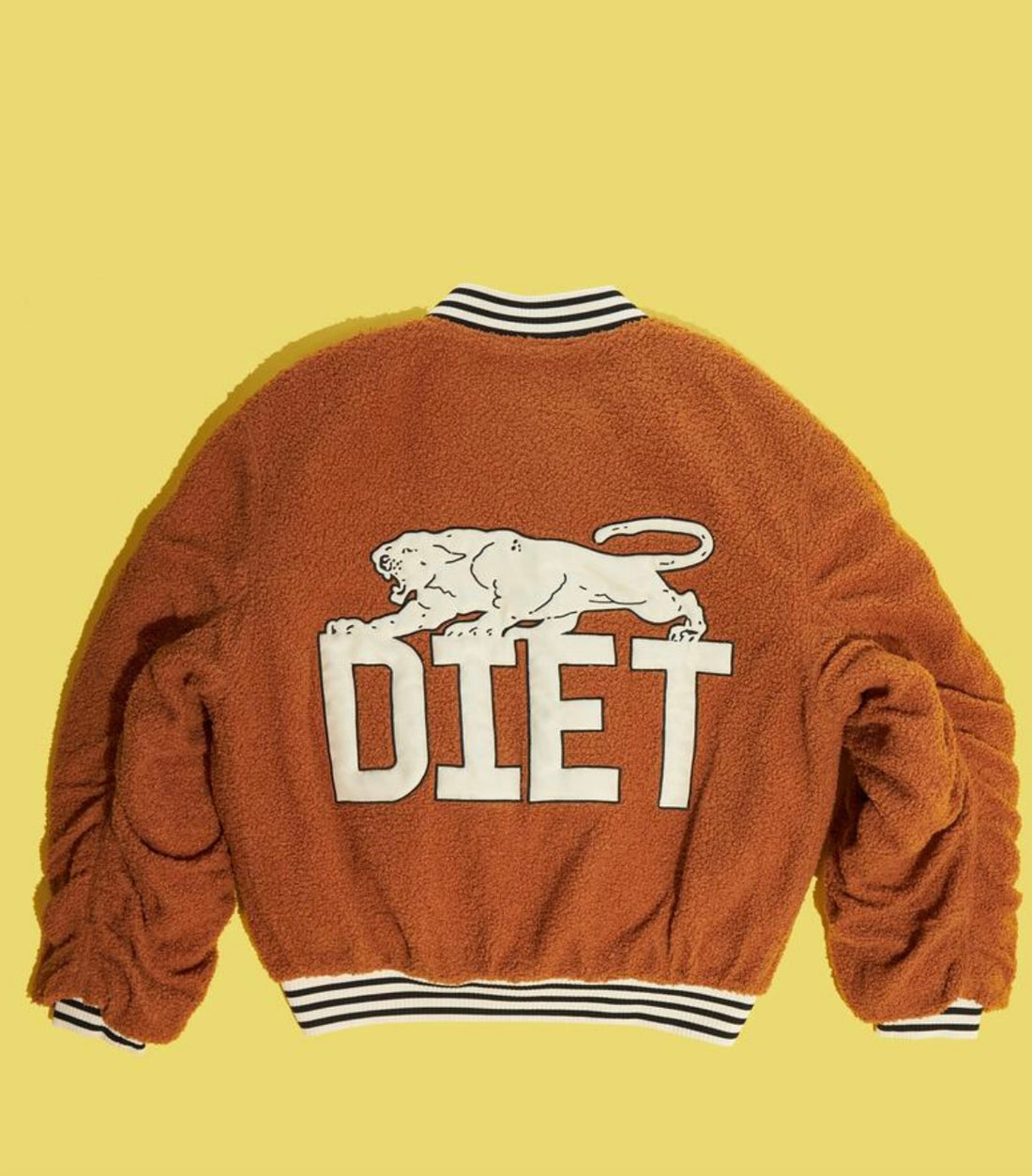 Diet Starts Monday Panther Bomber Jacket